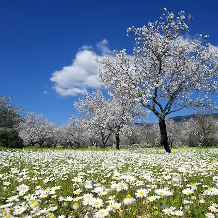 Dom wakacyjny Adore Datca Beach House *