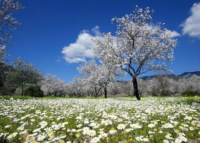 Vakantiehuis Adore Datca Beach House *